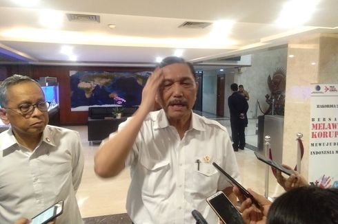 Luhut: Kalau Garuda Ditinggalkan, Emang Mau Terbang Naik Gagak?