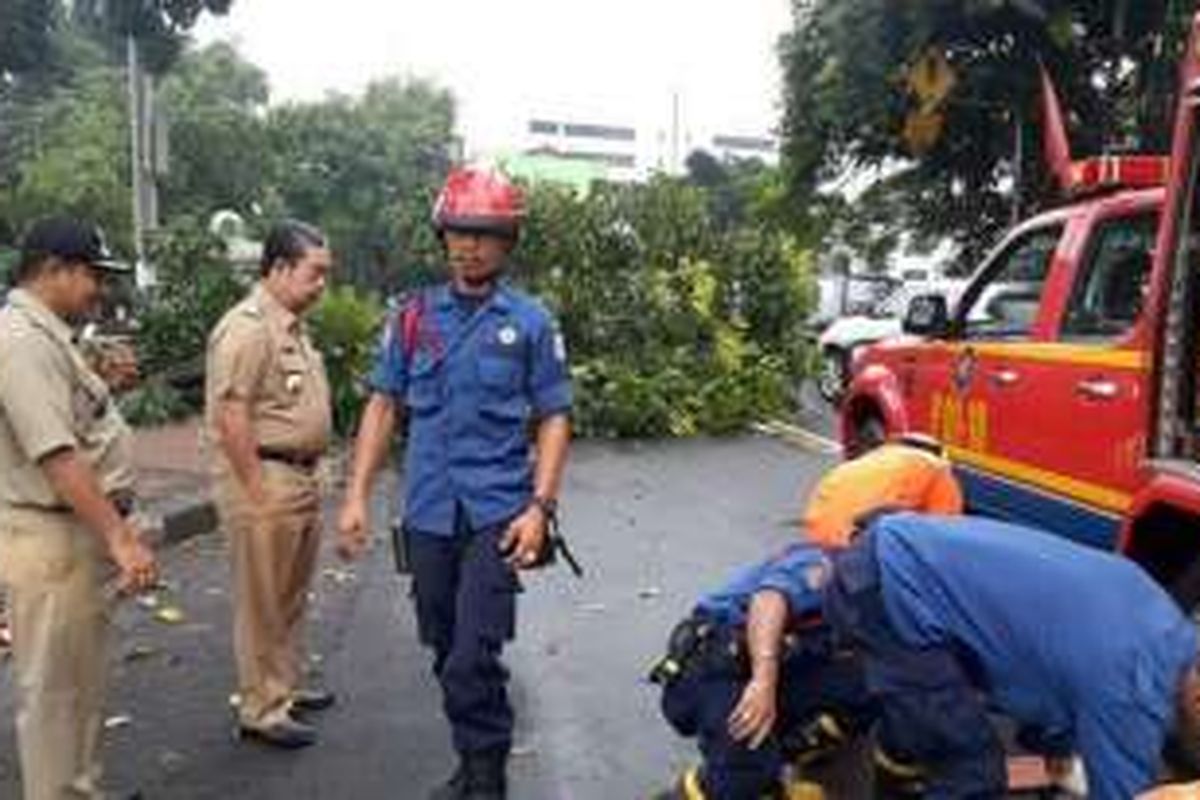 Sebuah pohon berukuran besar yang berada di Jalan Perwira, tepatnya depan pintu Timur Masjid Istiqlal, Gambir, Jakarta Pusat, Selasa (29/3) pagi tumbang