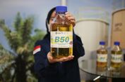 Menimbang Energi Surya Vs Biofuel Lewat 'Hitung Cepat'