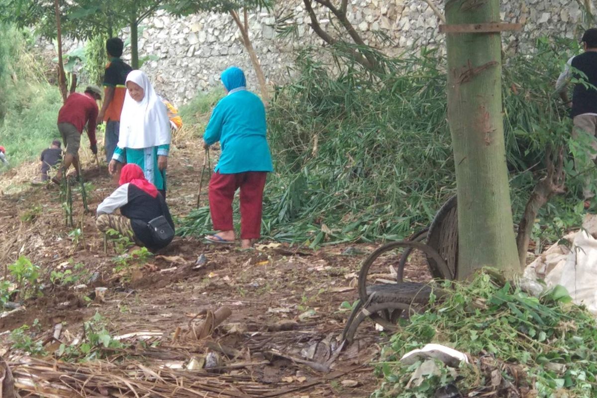 Warga menanam pohon di bantaran Sungai Ciliwung di RT 004 RW 005 Balekambang, Condet, Jakarta Timur, Sabtu (8/12/2018).