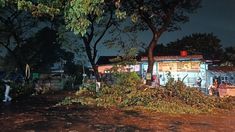 Cuaca Ekstrem Terjang Bekasi, Puluhan Pohon Tumbang di 5 Kecamatan