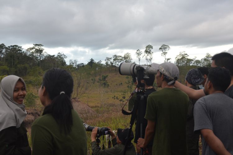 Peserta sedang mengambil gambar dengan kamera untuk burung Julang Sumba di TN MataLawa Sumba, Nusa Tenggara Timur yang sedang makan buah, Senin (6/8/2018).  