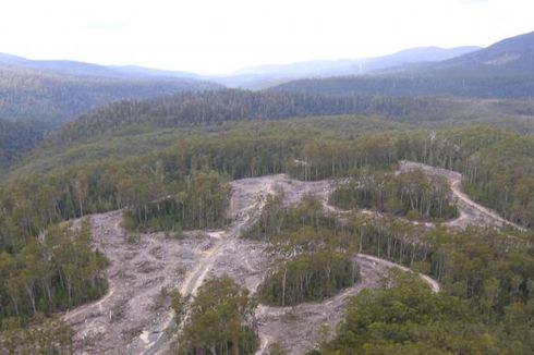 UNESCO Tolak Permintaan Australia Cabut Status Warisan Dunia Tasmania