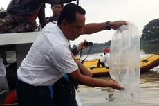 Peringatan Hari Air Sedunia, Sungai Surabaya Diruwat