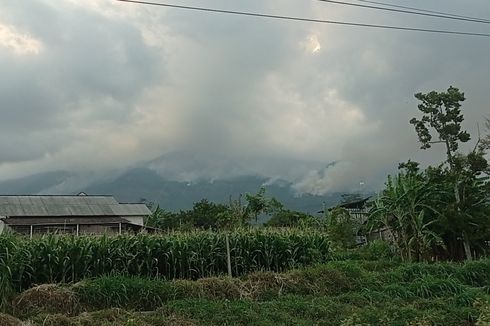 Atasi Kebakaran Hutan Gunung Lawu, 500 Petugas Gabungan dan Warga Dikerahkan