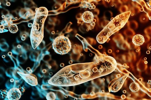 Protozoa, Predator Kecil Ganas dalam Kehidupan Mikroorganisme