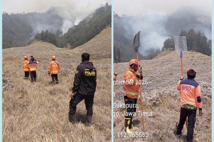 Api Karhutla Bromo Merembet ke Gunung Kursi, Jalur Jemplang Ditutup