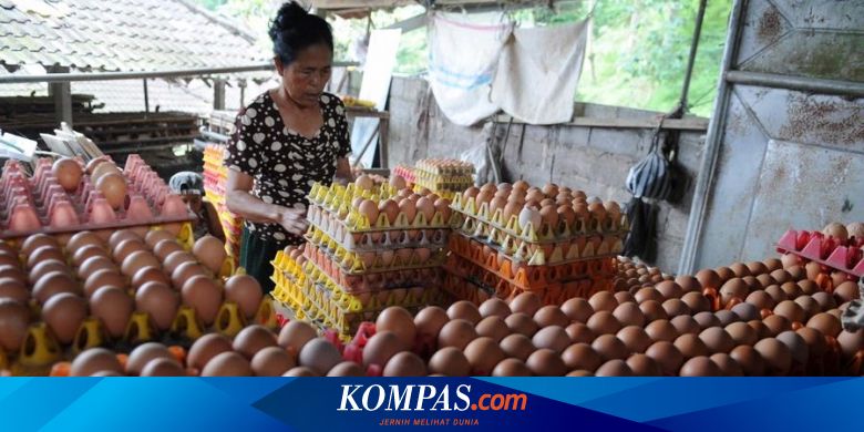 Harga Telur Ayam Di Bandung Tembus Rp 20 000