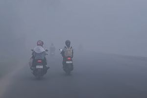 Karhutla Bukan Sekadar Persoalan Lingkungan...