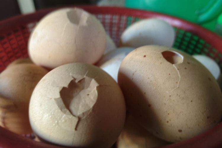 Harga Telur Melonjak, Pedagang Makanan di Deli Serdang Andalkan Telur Retak demi Pertahankan Pelanggan
