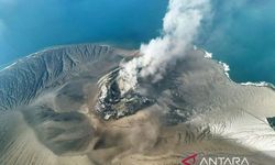 Abu Vulkanik Ganggu Proses Fotosintesis Tanaman, Berisiko Gagal Panen Jika Terpapar Terlalu Lama