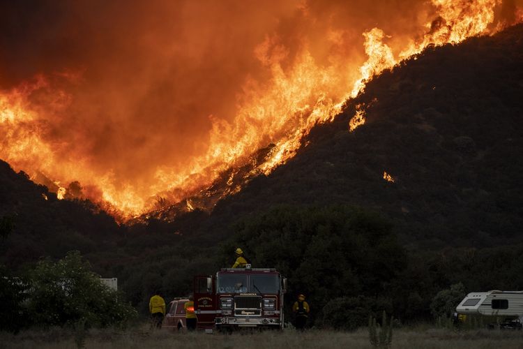 Para pemadam kebakaran berjuang memadamkan api di dekat permukiman California, Sabtu (1/8/2020). Kebakaran hutan yang dinamai Apple Fire ini telah menghanguskan 8.000 hektare lahan hingga Senin (3/8/2020), dan membuat 7.800 warga diungsikan.