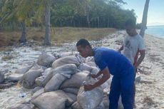 Polisi Amankan 2,5 Ton Pupuk Berisi Bahan Peledak di Pulau Pemana Sikka 