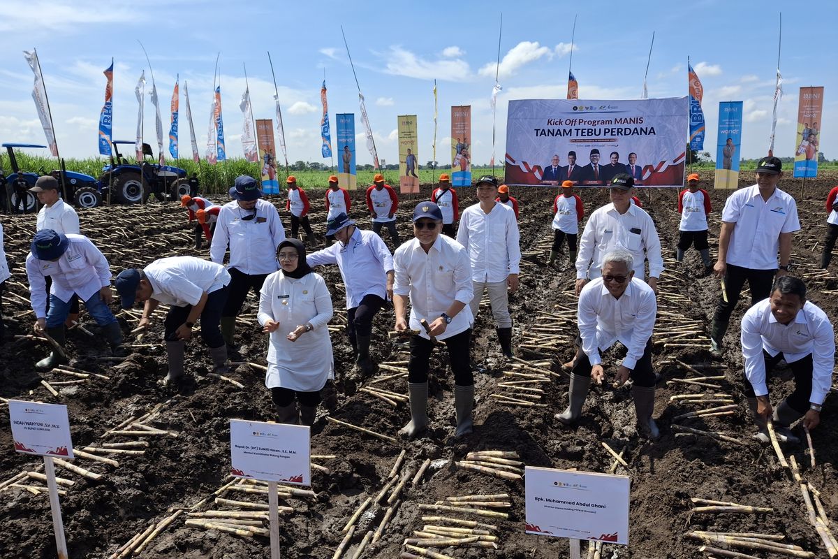 Menko Pangan Zulkifli Hasan tanam tebu perdana di kawasan perkebunan PG Jatiroto Lumajang, Rabu (20/11/2024)