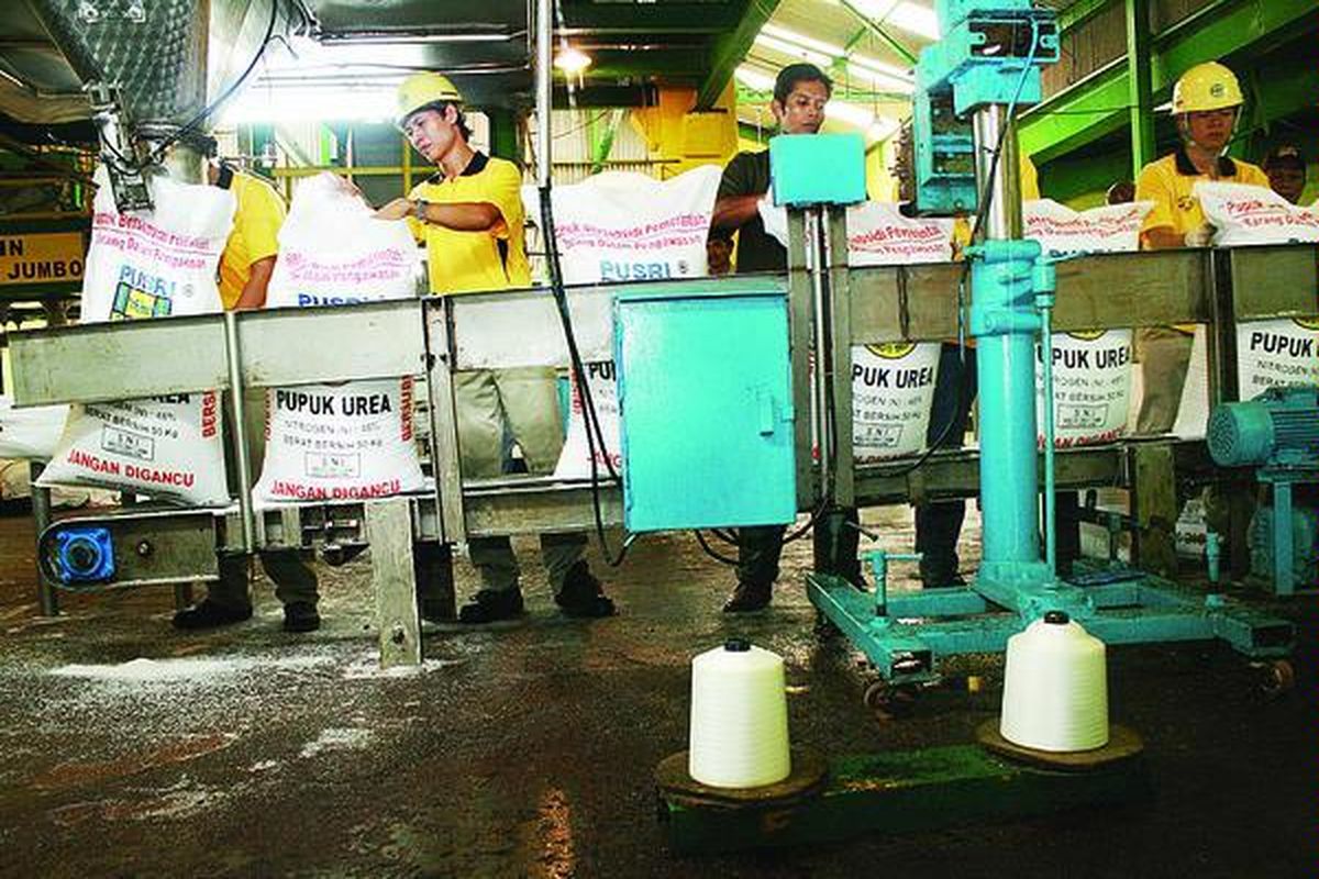 Karyawan PT Pupuk Sriwidjaja (Pusri), Palembang, Sumatera Selatan, mengemas pupuk urea bersubsidi ke dalam kantong, Kamis (31/12). PT Pusri berencana mendirikan pabrik pupuk NPK di Palembang tahun ini dengan investasi 6 juta dollar AS.