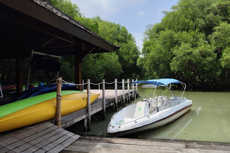 Naik Kano dan Speedboat di TWA Angke Kapuk, Tiket Mulai Rp 50.000