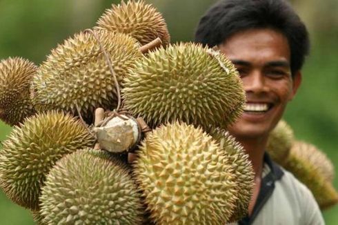 Mengapa Bau Durian Sangat Tajam? Ini Penjelasan Ilmiahnya