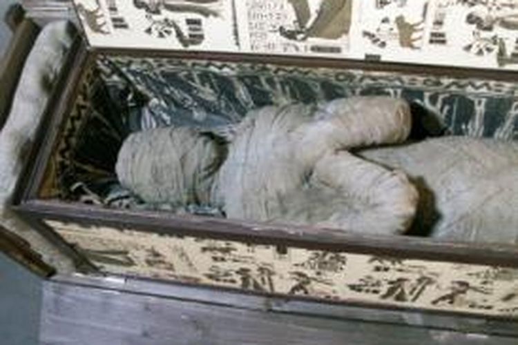 Inilah sosok mumi yang ditemukan di dalam sebuah sarkofagus di loteng sebuah rumah di kota Diepholz, Jerman.