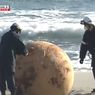 Bola Besar Disebut 