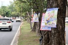 Ratusan Pohon Ditusuk Iklan Caleg, LSM Lingkungan: Melanggar PKPU