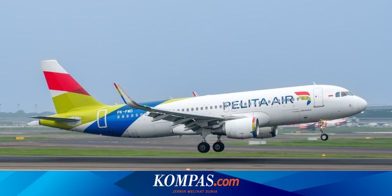 Ternyata Ini Alasan Pelita Air dengan Garuda Mau Digabung