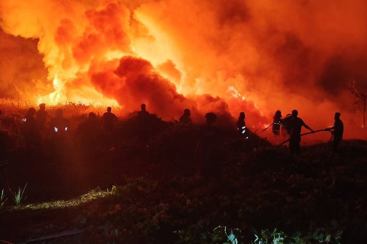 Kemenhut Sanksi 6 Perusahaan Penyebab Karhutla di Kalimantan
