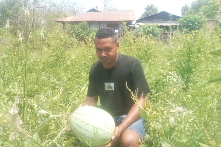 Berkah MBG, Arnoldus Kini Tak Kesulitan Jual Semangka