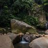 aktivitas di taman safari puncak