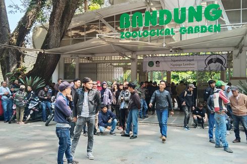 Adang Penyegelan, Ribuan Orang Kerumuni Pintu Gerbang Kebun Binatang Bandung