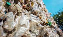 Polusi Plastik Mulai Cemari Hutan Dunia