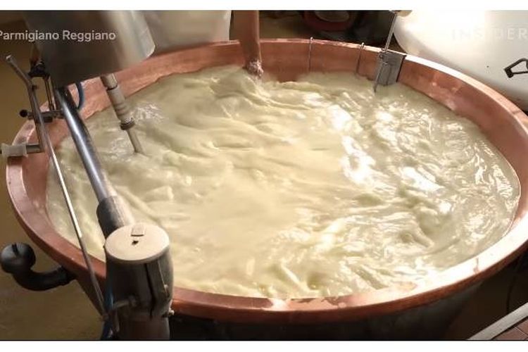 Dalam proses pembuatan Keju Parmesan, dibutuhkan juga bahan dasar seperti susu sapi segar, garam, dan beberapa sisa keju.