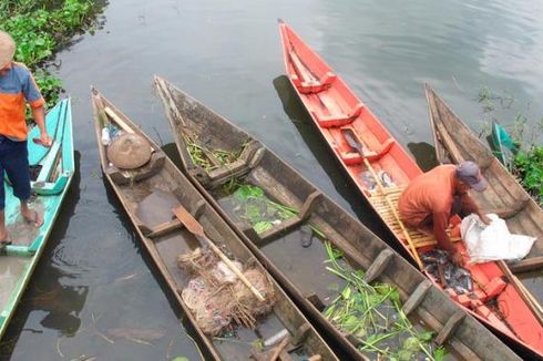 Bupati Semarang Prihatin Ikan Wader Ijo Nyaris Punah