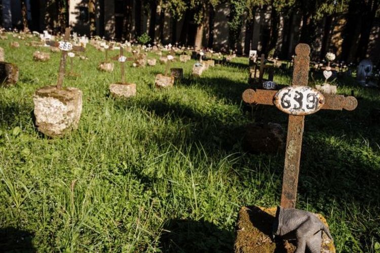 Tidak semua kuburan janin mencantumkan nama ibu termasuk di Aquí el de Caserta, di kawasan Campania.