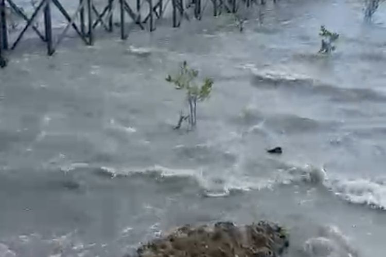 BMKG Akhiri Peringatan Tsunami di Berau, Tsunami Kecil Sempat Terpantau di Biduk-biduk