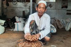 Pesona Buah Pinang, Dulu Diabaikan, Kini Jadi Primadona Warga Lumajang 