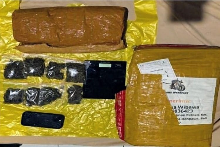 6 Kg Ganja dari Medan Hendak Dikirim ke Bali, Diselundupkan Dalam Bus ALS