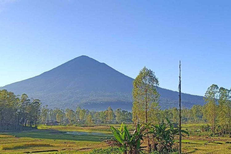 Kebakaran di Gunung Guntur dan Cikuray Garut Teratasi,  BBKSDA Pastikan Bukan Kawasan Cagar Alam