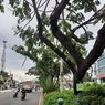Pasang 1.500 