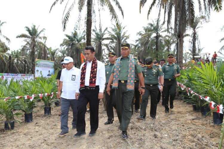 Kementerian Petanian melakukan peremajaan kelapa sawit di Desa Ujung Tanjung, Kecamatan Sungai Bahar, Kabupaten Muaro Jambi, Provinsi Jambi pada Senin (10/9/2018). 