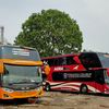 travel surabaya jogja harga