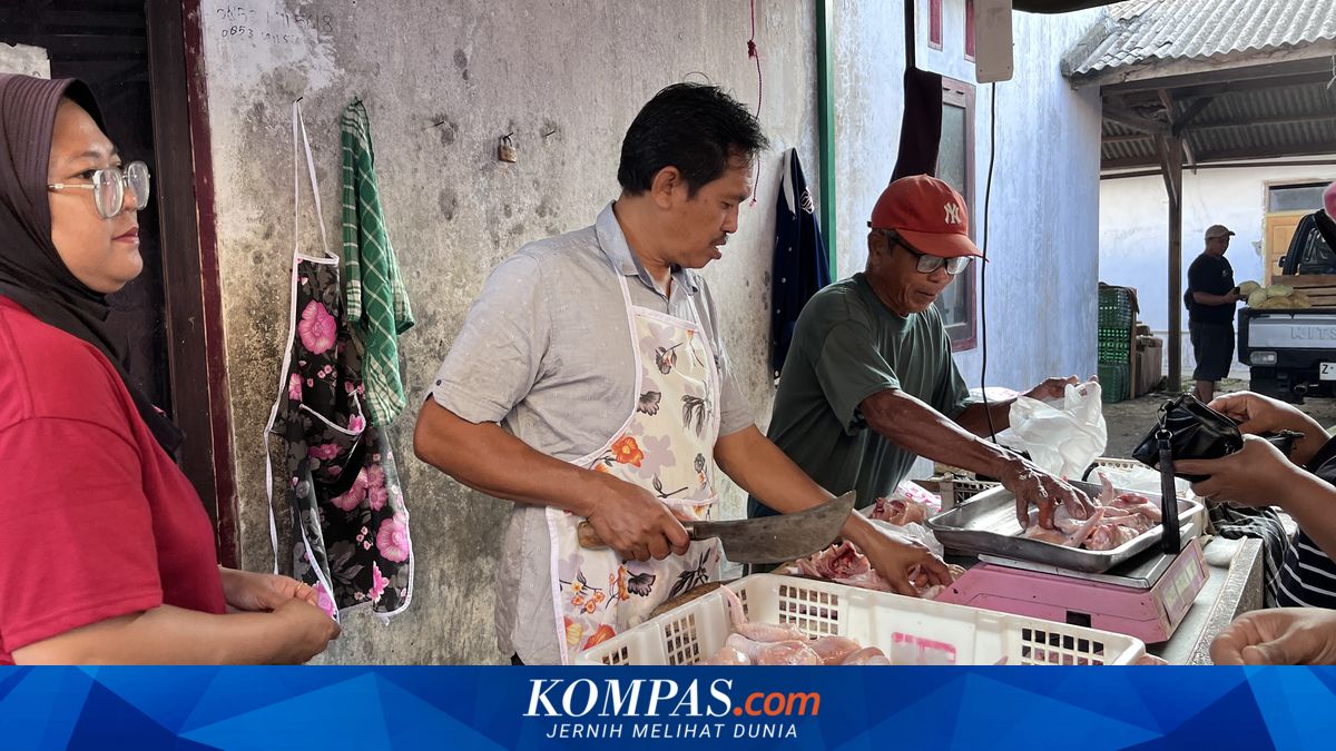 Harga Ayam di Pangandaran Naik, Pedagang: Karena MBG Sudah Jalan Lagi