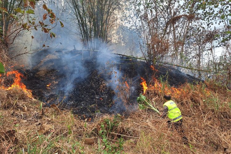 26 Hektar Hutan Pinus di Pekalongan Terbakar, Kepulan Asap Masih Membumbung