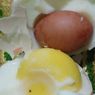 10 Bakteri yang Bisa Kontaminasi Kulit Telur dan Cara Mengatasinya