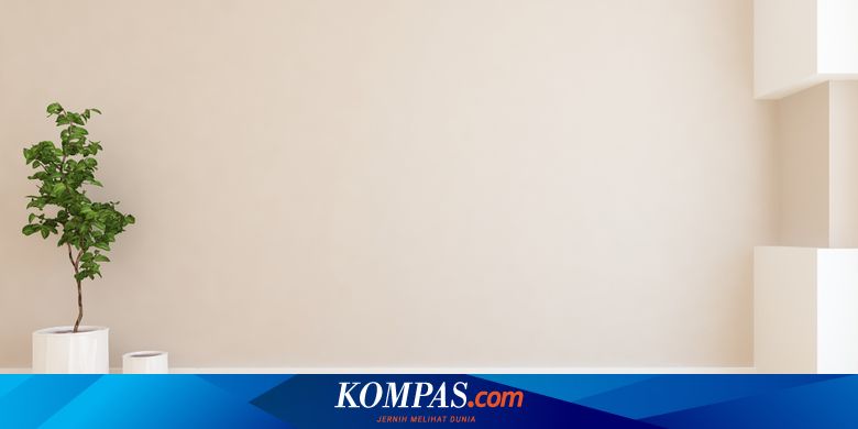 Jangan Keliru, Ini Perbedaan Cat Warna Cream dan Warna Beige