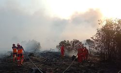 Karhutla Makin Menggila, 4 Kali Lebih Luas dari Tahun Lalu