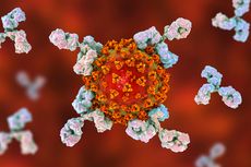Studi: Perlindungan Terhadap Virus Corona Menurun di Populasi Inggris