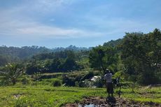 Program KUR Bantu Petani di Tapanuli Selatan Dapatkan Modal untuk Jalankan Usaha