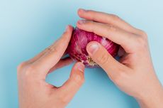 Kades Ungkap Asal Sayap Pesawat yang Menimpa Rumah di Bogor