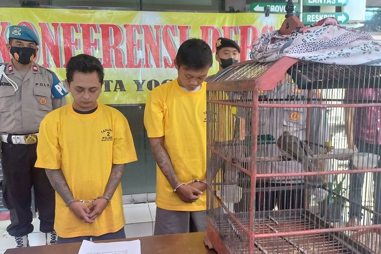 Kedua pelaku dan barang bukti Burung Cucak Rowo diamankan di Polsek Mantrijeron, Kota Yogyakarta, Selasa (21/2/2023)