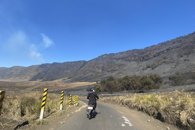 Imbas Kebakaran, Savana Hijau Gunung Bromo Berubah Jadi Hamparan Hitam